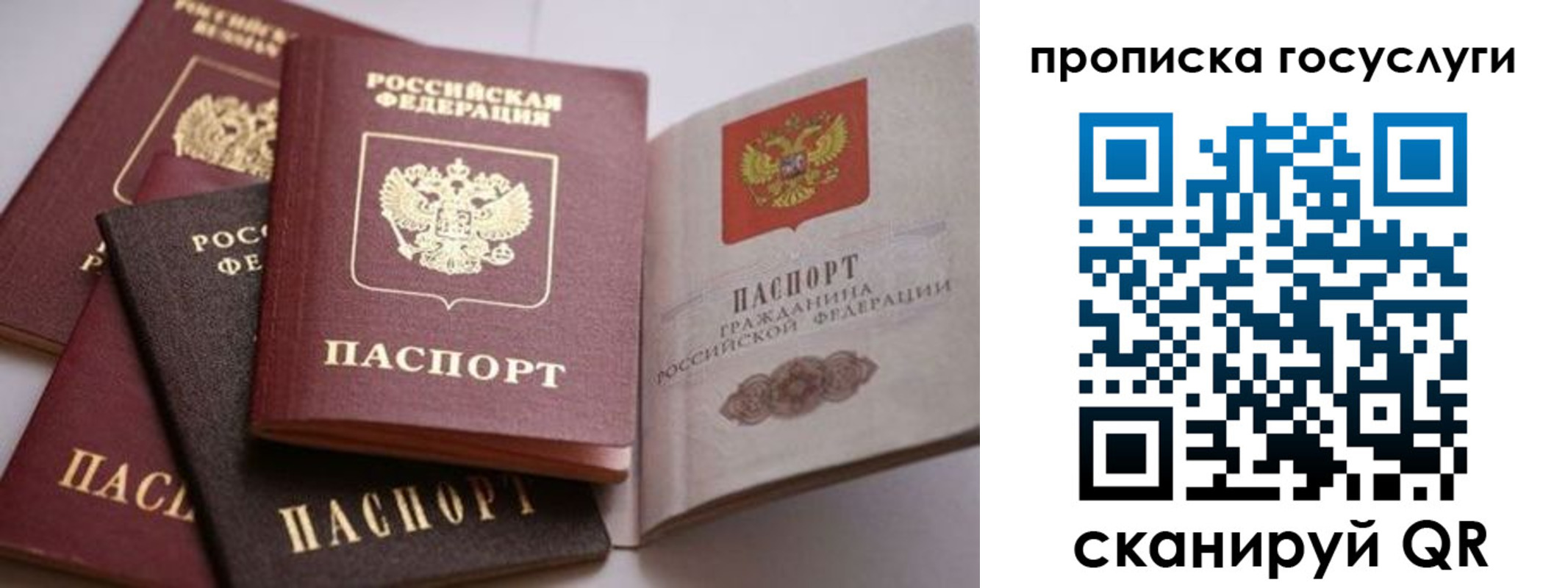 прописка штамп в Красном Сулине